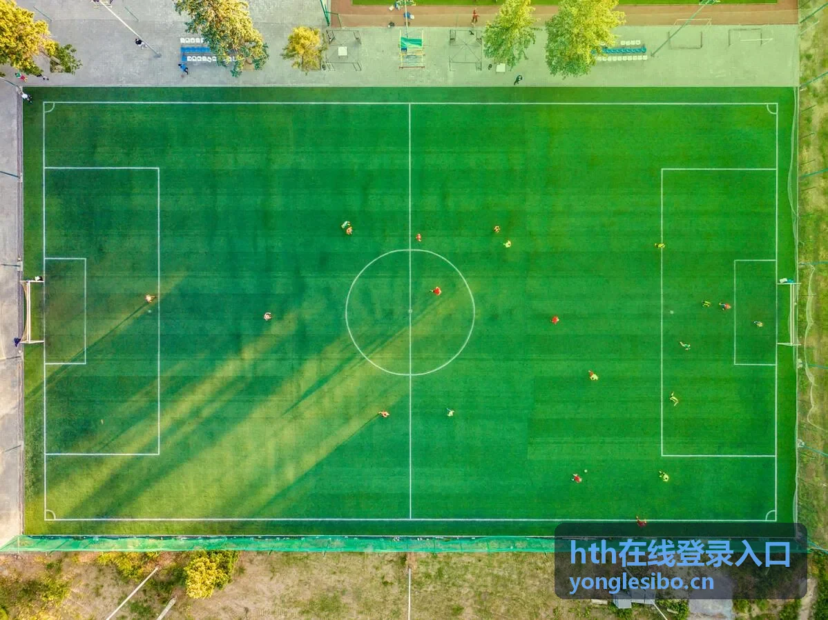 hth在线登录入口登录方式指南