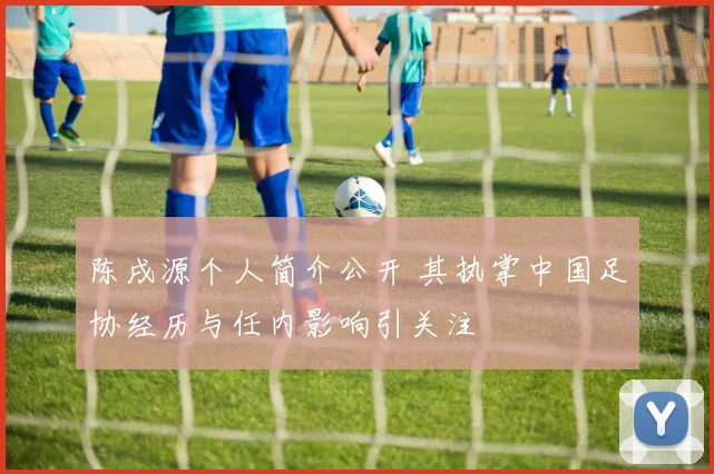 陈戌源个人简介公开 其执掌中国足协经历与任内影响引关注