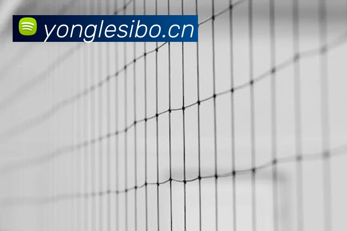 足球世界杯官网中文版品牌故事